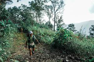 BIB: 
                            <button type="button" onclick="openModal(25656587)" class="btn btn-primary btn-sm float-right btn-popup" data-toggle="modal" data-target=".modal-high-quality">
                        <i class="fas fa-shopping-cart"></i> Add to Cart
                    </button>
                                            <button type="button" onclick="isThisMe(25656587, true)" class="btn btn-success btn-sm float-right btn-popup btn-isme hidden" data-toggle="tooltip" data-placement="bottom" title="นี่คือรูปของคุณใช่ไหม คลิกที่นี่เพื่อเอาเข้าอัลบั้ม">
                        <i class="fas fa-plus"></i> Add to album
                    </button>
                    <button type="button" onclick="isThisMe(25656587, false)" class="btn btn-warning btn-sm float-right btn-popup btn-isnotme hidden">
                        <i class="fas fa-ban"></i> Remove from album
                    </button>